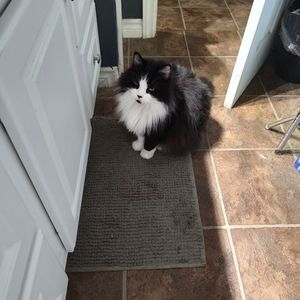 Meet your Posher, Nancy